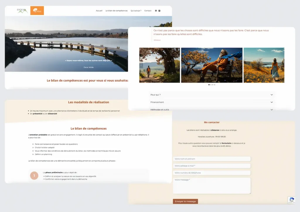 Exemple du site réalisé pour Evolva Compétences